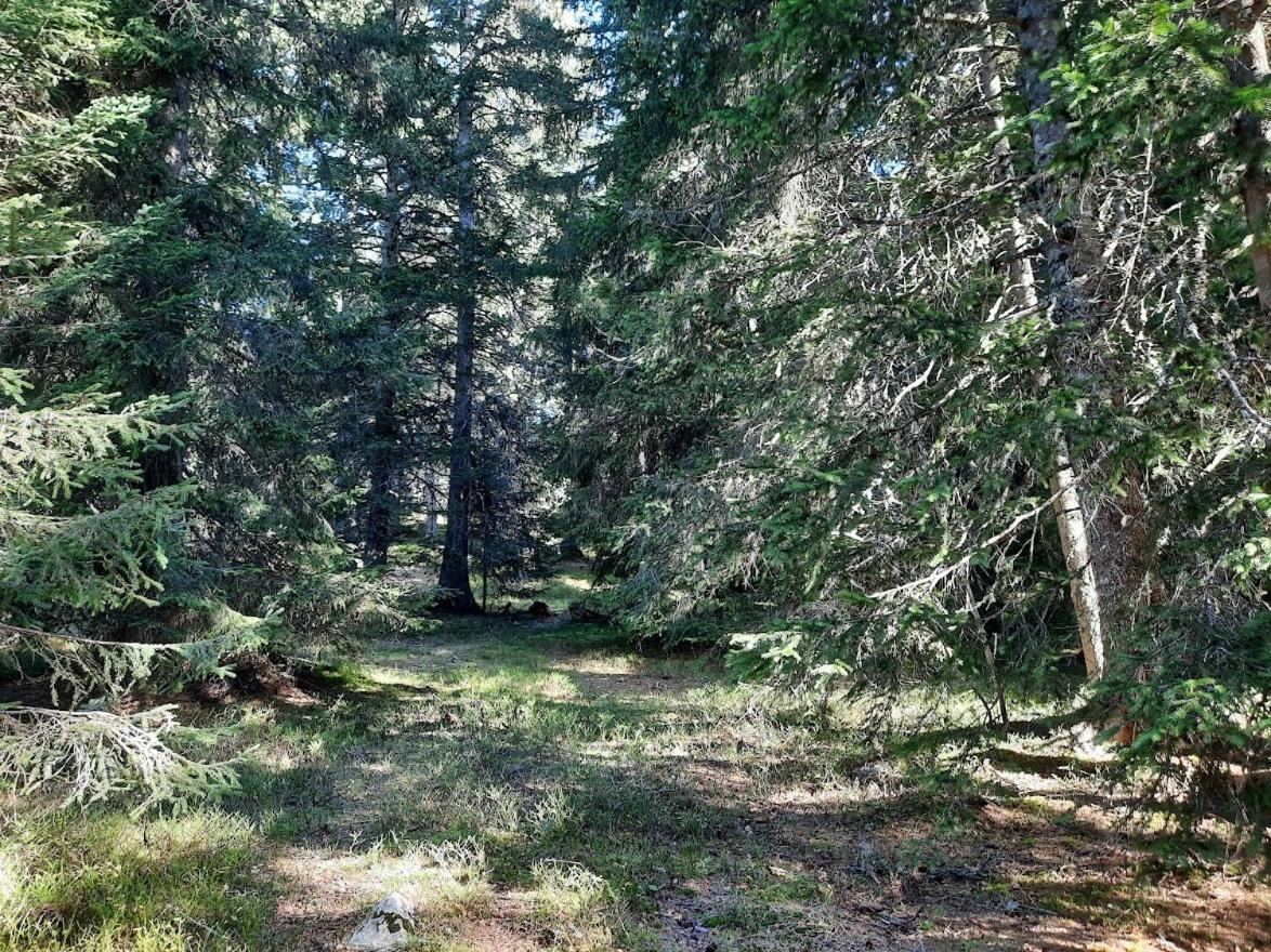 La Petite Foret Chamrousse 1700 Exterior foto
